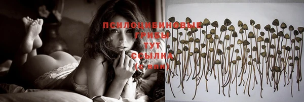 прущая мука Майский