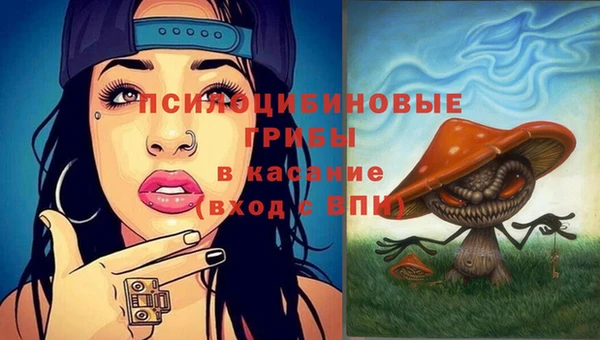не бодяженный Белокуриха