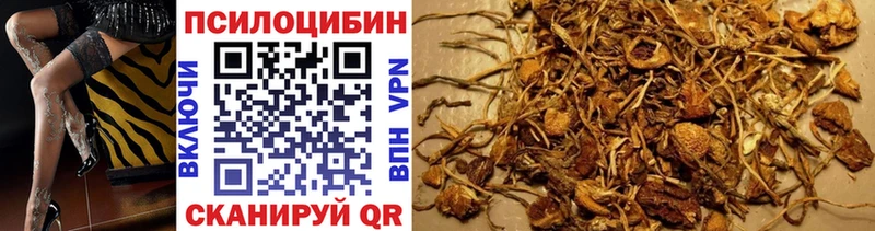 даркнет сайт  kraken ТОР  Псилоцибиновые грибы Psilocybe  Верещагино 